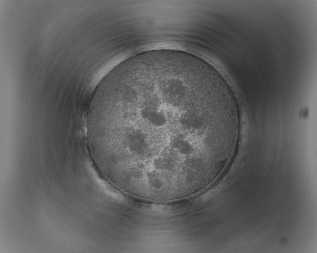 X0000111171241200907151251