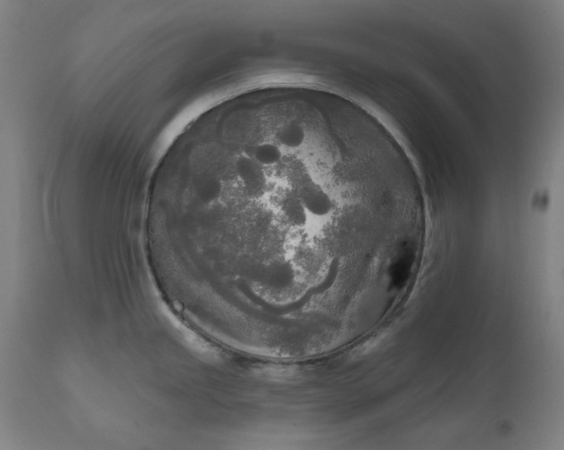 X0000111171245200907151251