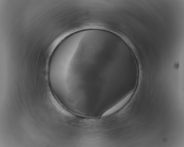 X0000111171246200907151251