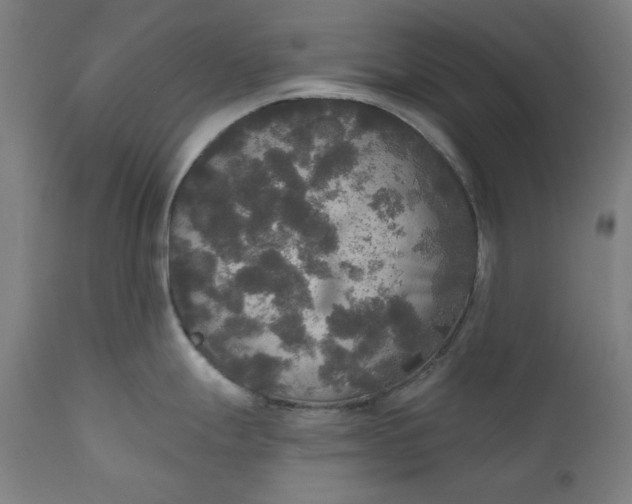 X0000111171247200907151251