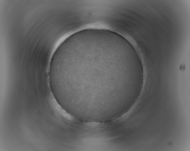 X0000111171248200907151251