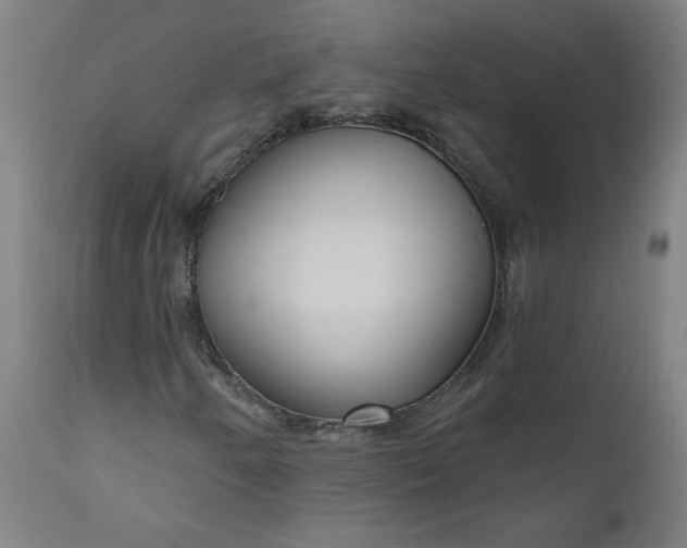 X0000111171250200907151250