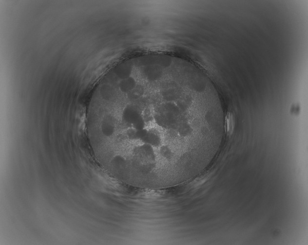 X0000111171251200907151250