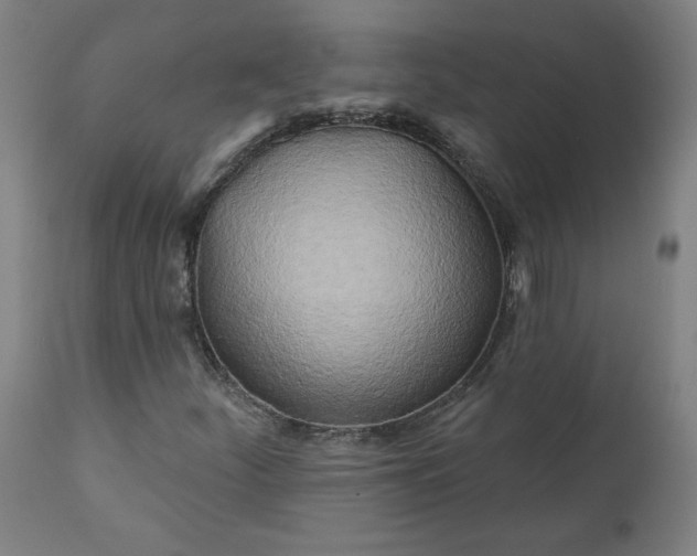 X0000111171252200907151250