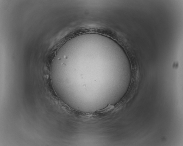 X0000111171253200907151250