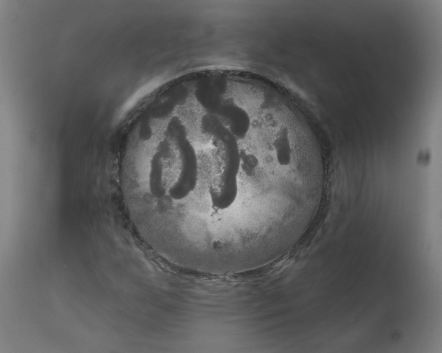 X0000111171255200907151250