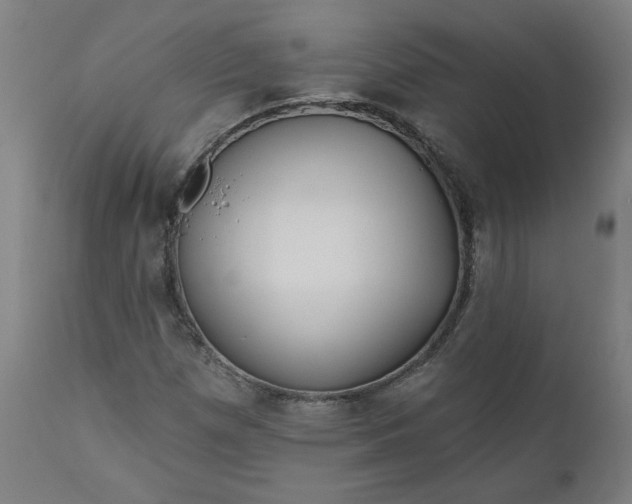 X0000111171257200907151250