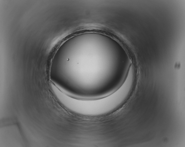 X0000111171261200907151250