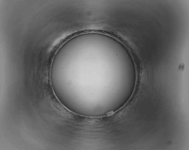 X0000111171262200907151250