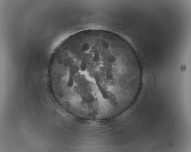 X0000111171263200907151250