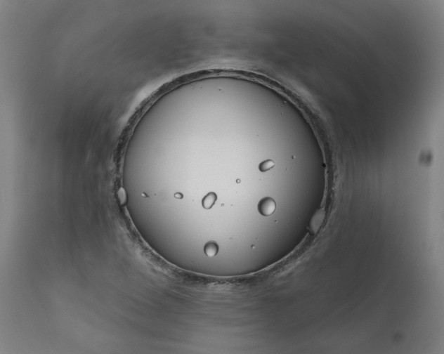 X0000111171264200907151250