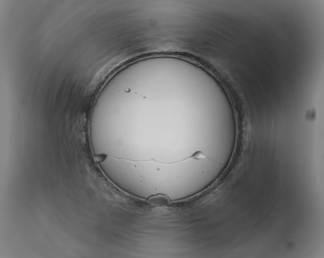 X0000111171265200907151250