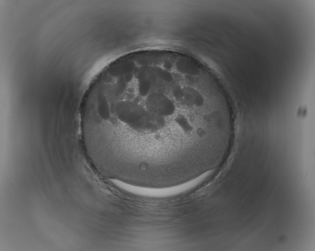 X0000111171267200907151250