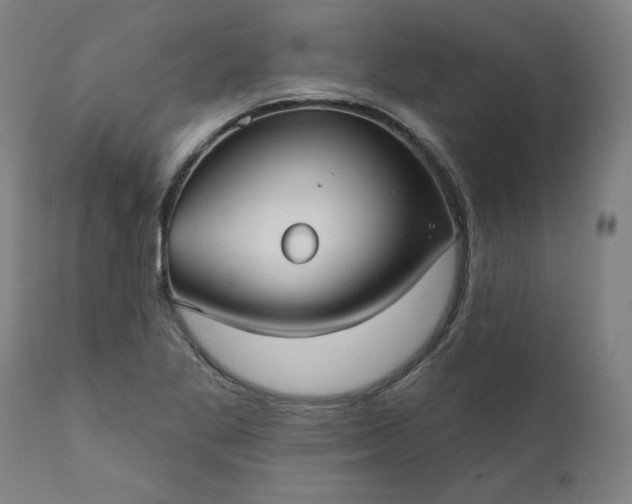 X0000111171269200907151250