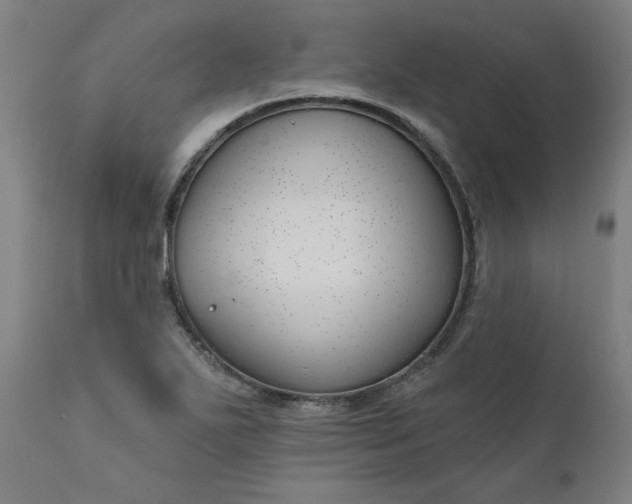 X0000111171271200907151250