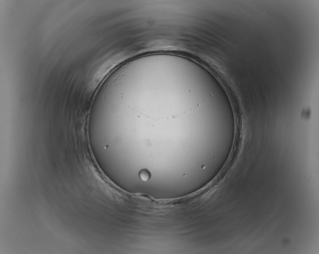 X0000111171273200907151250