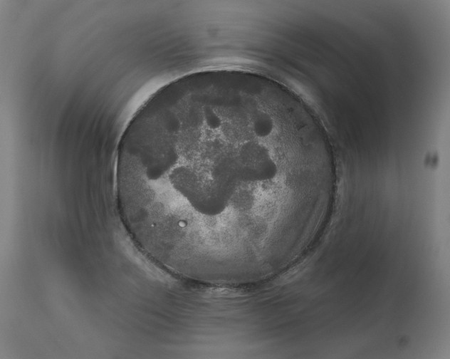 X0000111171275200907151250