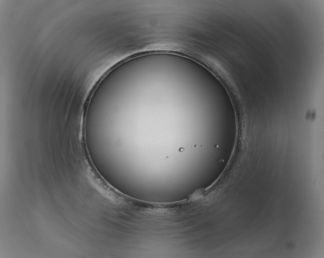 X0000111171276200907151250