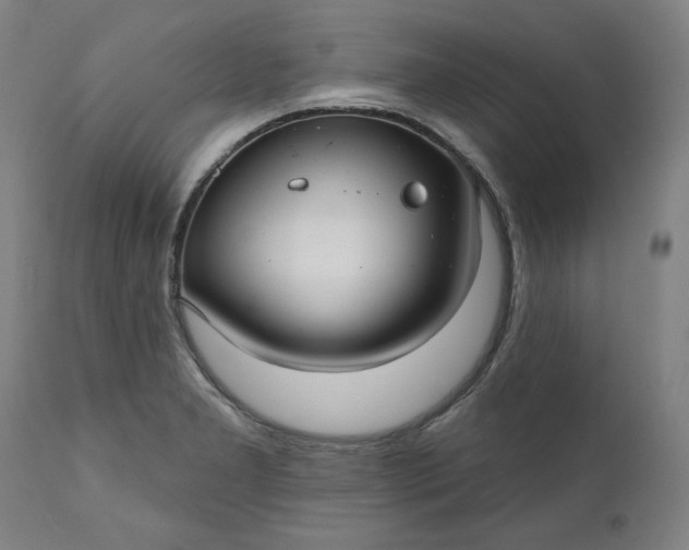 X0000111171277200907151250