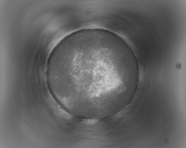 X0000111171278200907151250