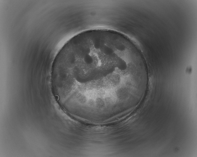 X0000111171279200907151250