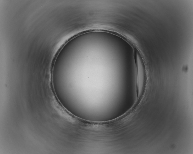 X0000111171280200907151250