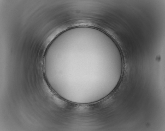 X0000111171282200907151250