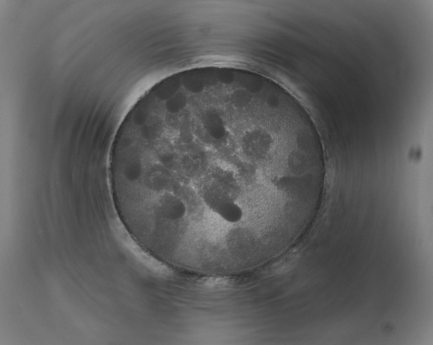 X0000111171283200907151250