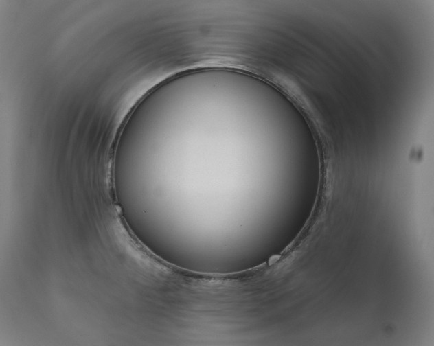 X0000111171284200907151250