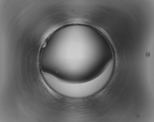 X0000111171285200907151250