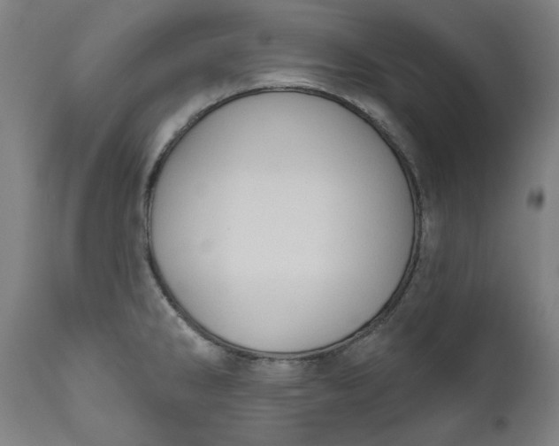 X0000111171286200907151250