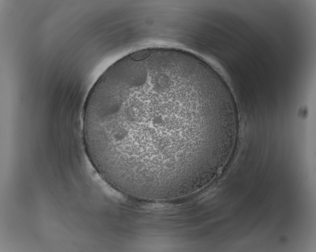 X0000111171287200907151250