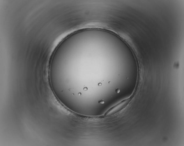 X0000111171288200907151250