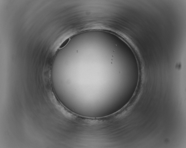 X0000111171289200907151250