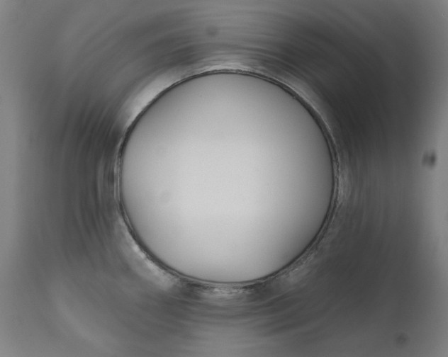 X0000111171290200907151250