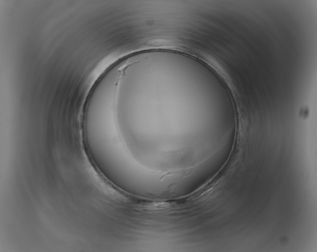 X0000111171291200907151250