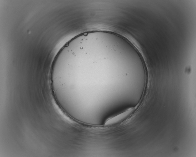 X0000111171293200907151250