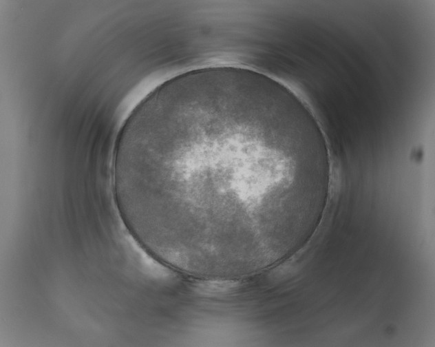 X0000111171294200907151250