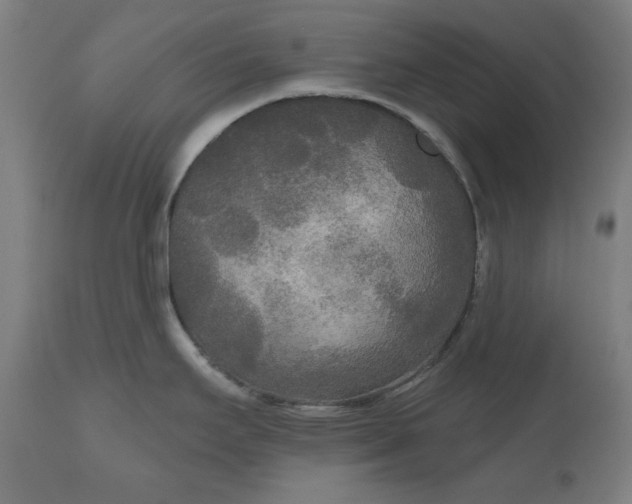 X0000111171295200907151250