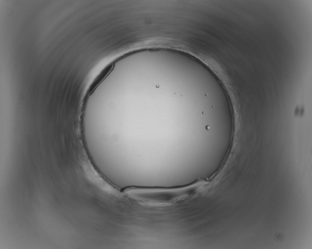 X0000111171296200907151250