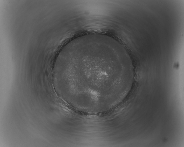 X0000111171297200907151249