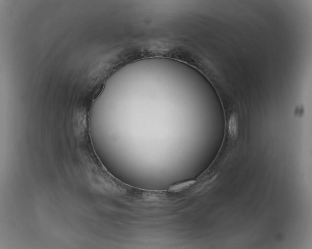 X0000111171299200907151249