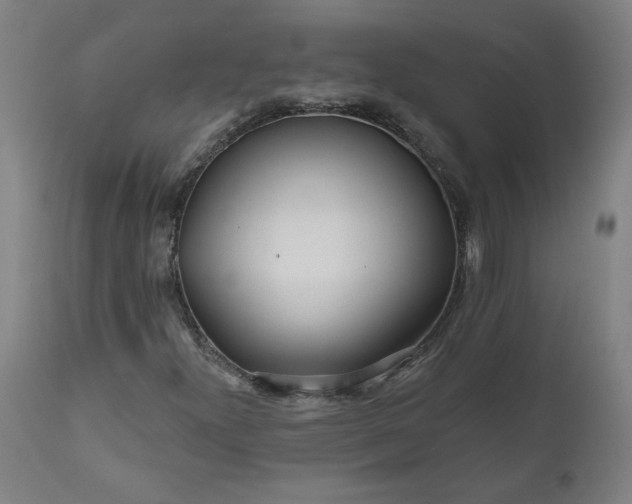 X0000111171300200907151249