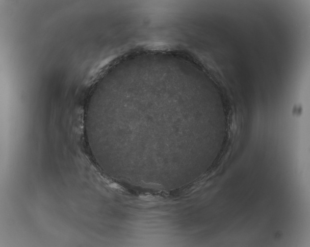 X0000111171301200907151249