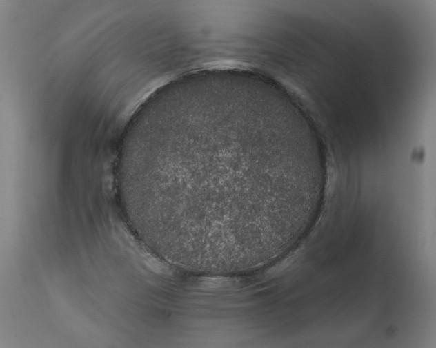 X0000111171305200907151249