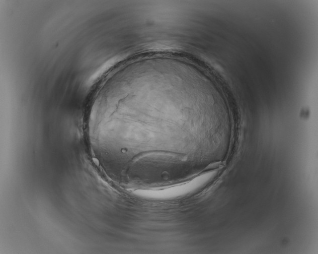 X0000111171306200907151249