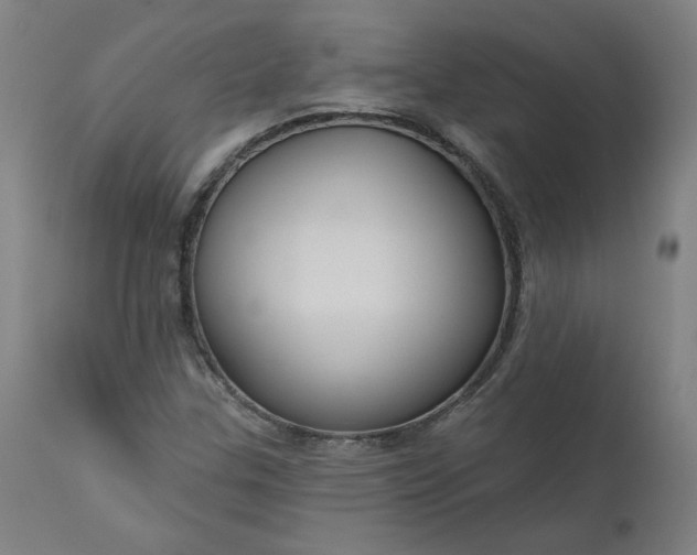 X0000111171307200907151249