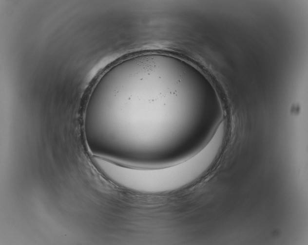 X0000111171308200907151249