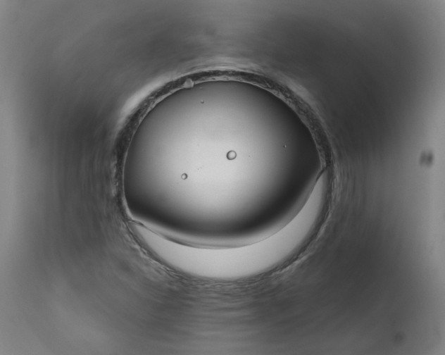 X0000111171310200907151249