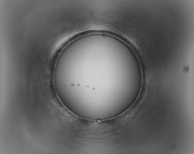 X0000111171311200907151249